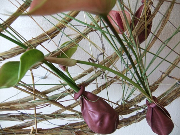 As a water source for the Anthuriums  I used water filled metallic party balloons.