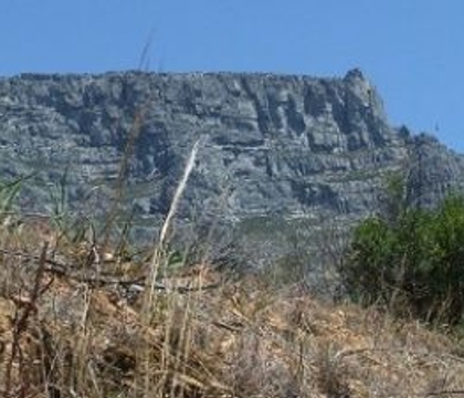 Nuts and Bolts of Floral Art Mechanics