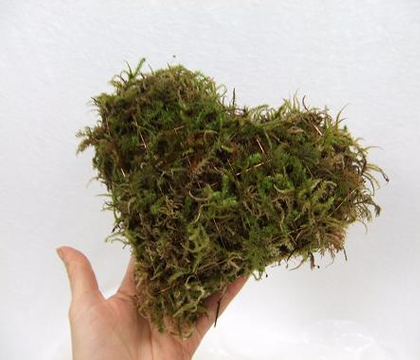 Moss Heart 