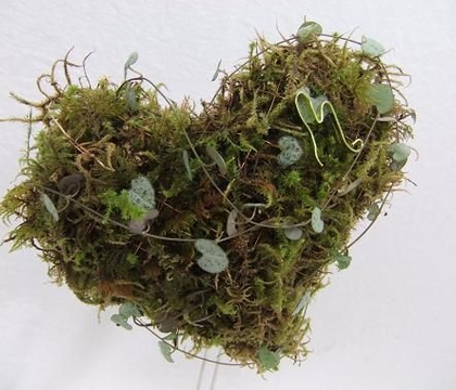 Grow Love