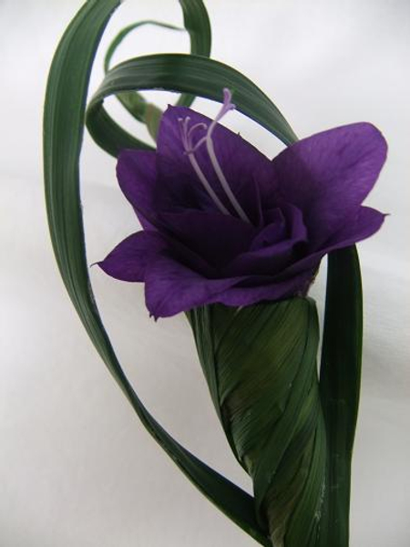 Ink blue Gladiolus composite flower