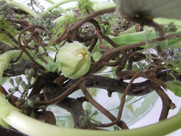 Paint egg white on petals to keep them in tight bud.