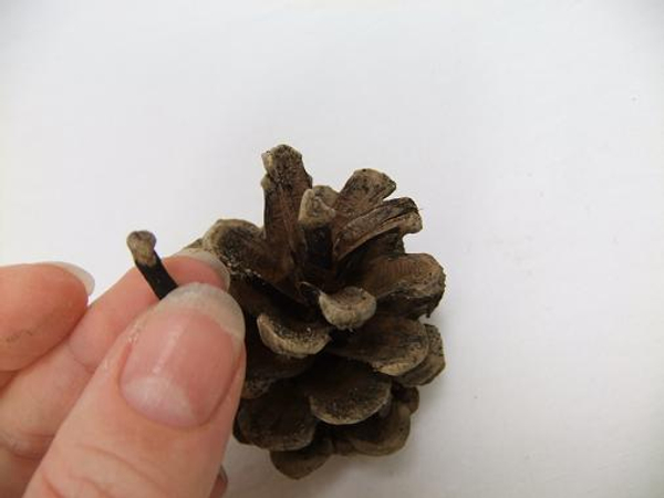 Pine forms the head and body of the love bug. Pine forms the head and body of the love bug.