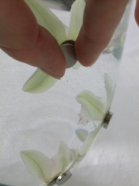 Positioning a flower under water using a magnet.