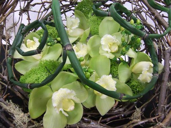 A Floral Fable cool design snuggled up in a twig nest.