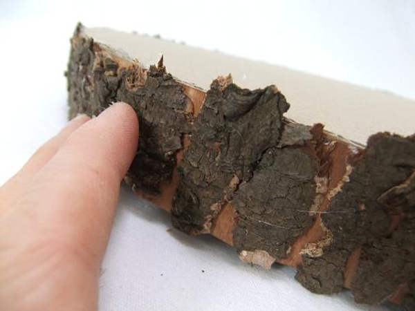 Glue the bark chips to the paper log to cover the entire surface