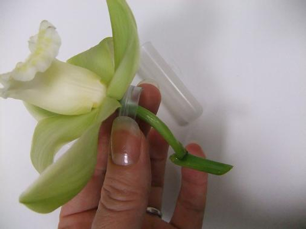 Fit the plastic lid that seals the test tube