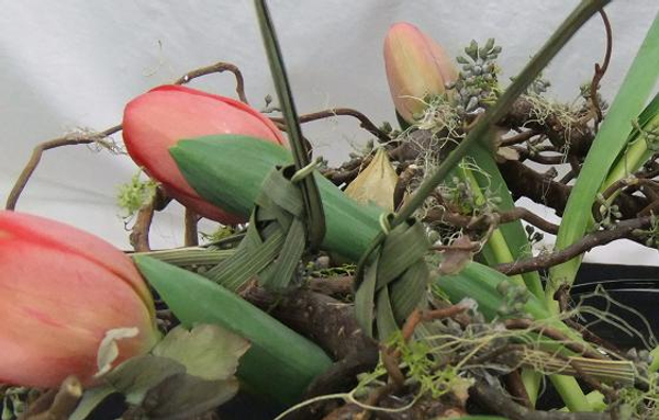 Two palm leaf grasshoppers meditating in a twig nest with spiralled tulips.