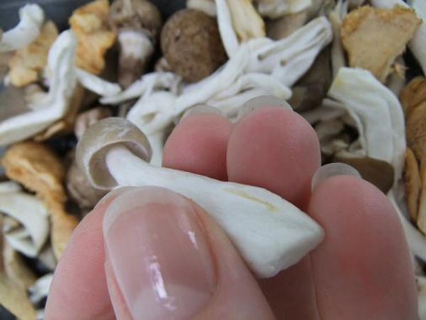 Cut the mushroom to have a neat flat base. Cut the mushroom to have a neat flat base.