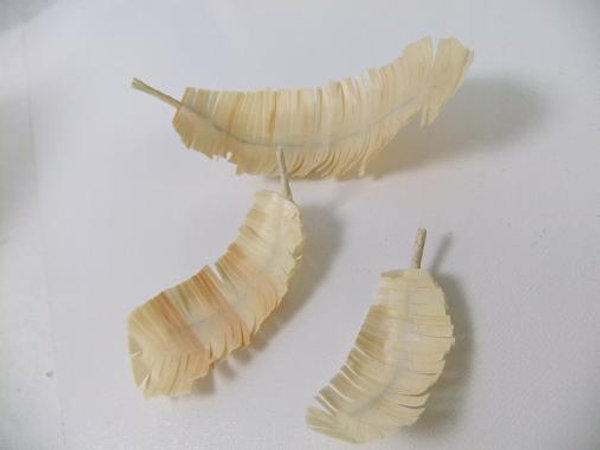 Paste and cut Wooden feathers.