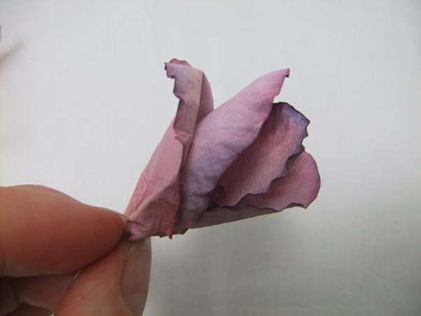 Roll the paper sweet pea petals to form the flower