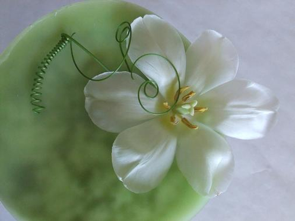 A soft and peaceful design floating on a wax disk.