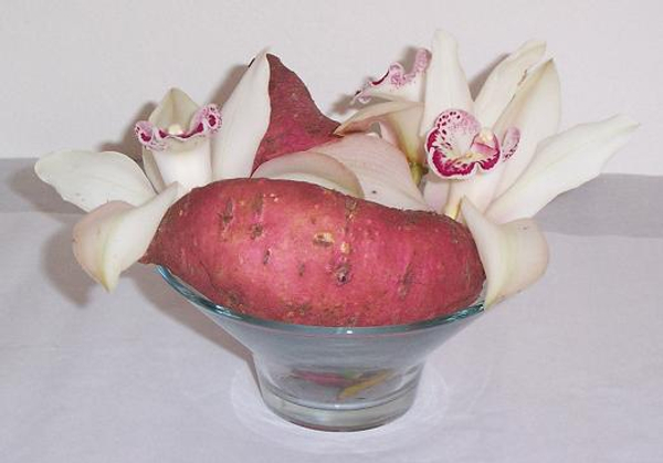 Cymbidium orchid and sweet potato