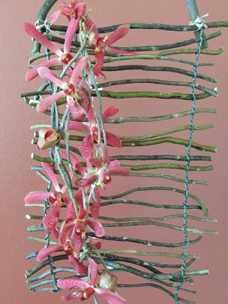 Floral Art design twig blind .