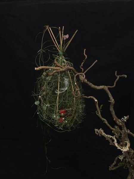 Mikado Reed drop shaped nest .