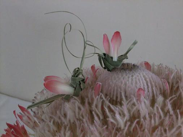 Palm Butterflies cuddling on a composite flower made from Protea flowers