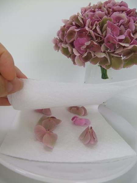 Place the flowers between layers of paper towels to absorb the moisture. Place the flowers between layers of paper towels to absorb the moisture.