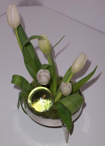 Its Tulip time- top Its Tulip time- top