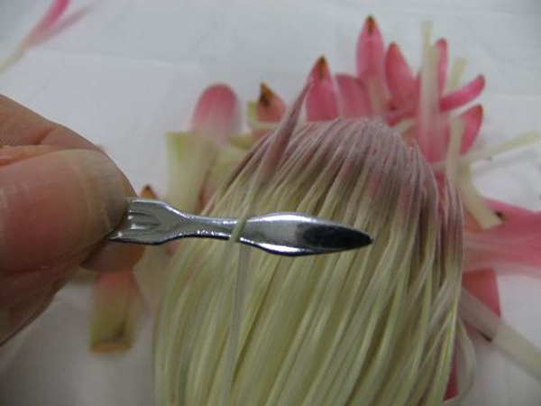 Remove the tepals and bracts from a protea to create a large composite flower.