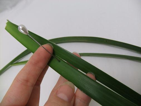 Split the leaf with a corsage pin.