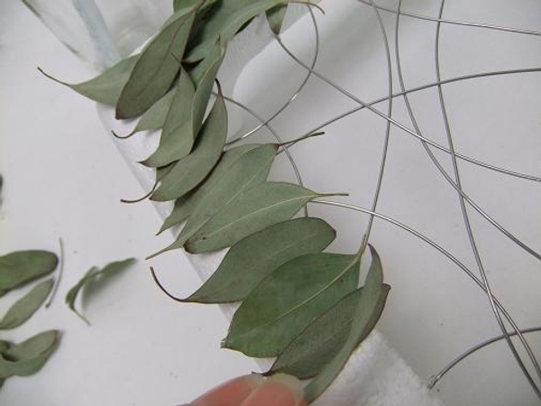 Follow the natural curve of the eucalyptus leaves.