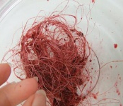 Berry dye for sisal fibers