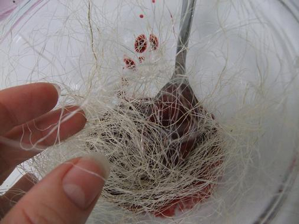 Soak the dry sisal fibers in the purple berry juice.