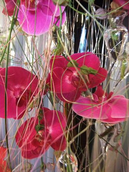 Vines and orchids floats down the waterfall in glass seahorses.