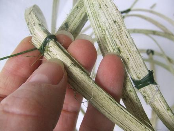 Follow each cane section as it coils over the basket and match it with its opposite.