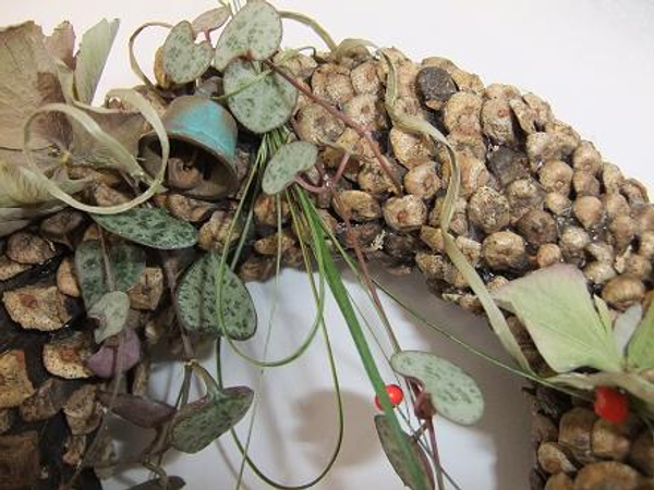 Pine, rosary vine and hydrangea wreath.
