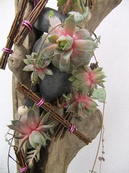 Twigs succulent and driftwood design.