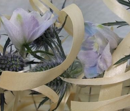 Delphinium
