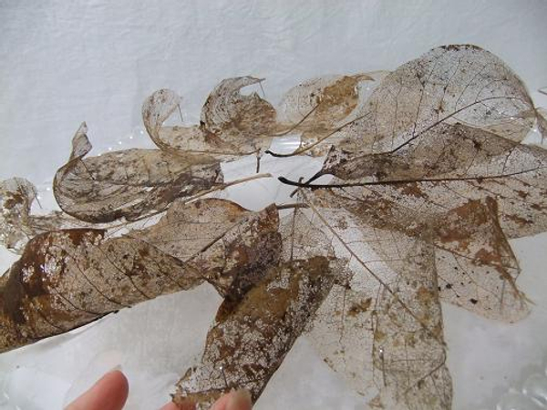 Let the leaf wreath dry completely before removing the pins.