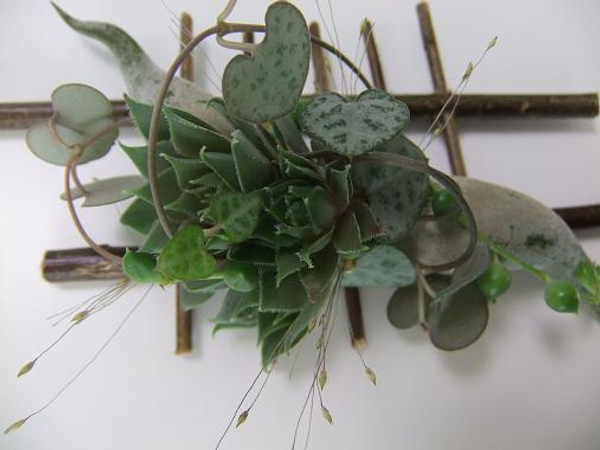 Succulent and Air Plant Boutonniere design for my video.