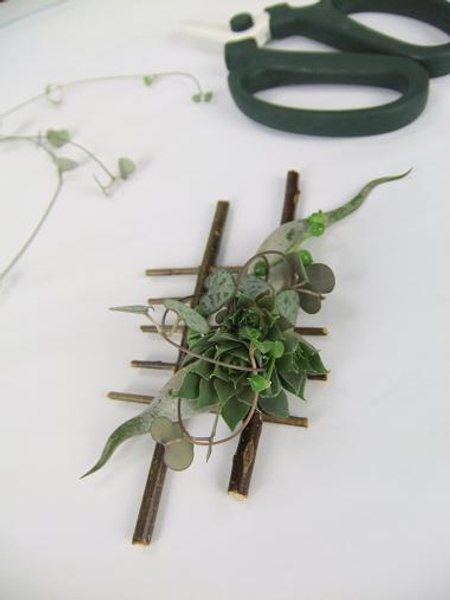 Succulent and Air Plant Boutonniere.