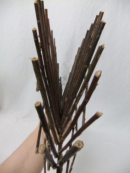 Twig armature from the side.