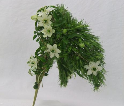 Ornithogalum - The Afrikaans name is tjienkerientjee (named after the sound the stems make when rubbing together in the wind) Chincherinchee, wonder-flower (because they last so long), star-of-Bethlehem (biblical reference to the Christmas star)