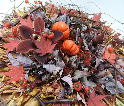 Solanum Integrifolium - Pumpkin tree plant, pumpkin-on-a-stick or pumpkin bush, Japanese golden egg, Chinese scarlet eggplant, Hmong eggplant or tomato eggplant.