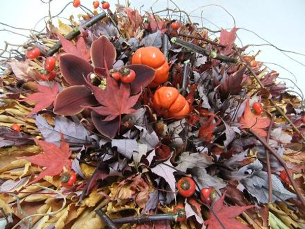 Autumn leaf rosette.