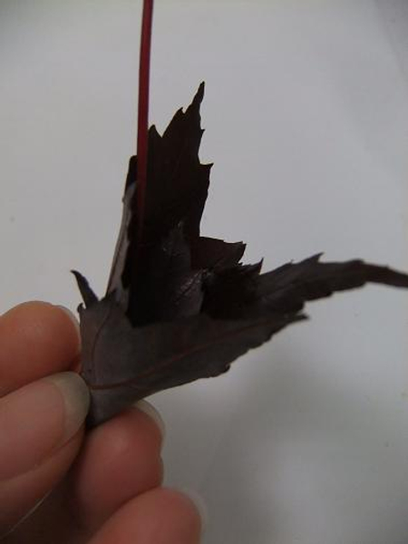Roll the leaf. Roll the leaf.