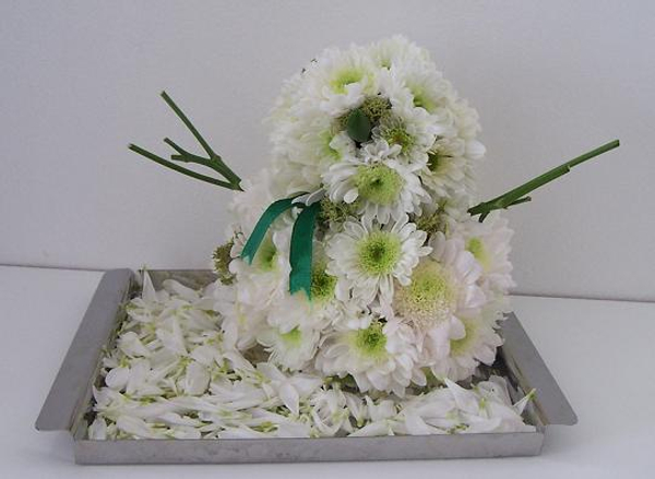 Snowmums staying cool in the heat of the summer holidays. Snowmums staying cool in the heat of the summer holidays.