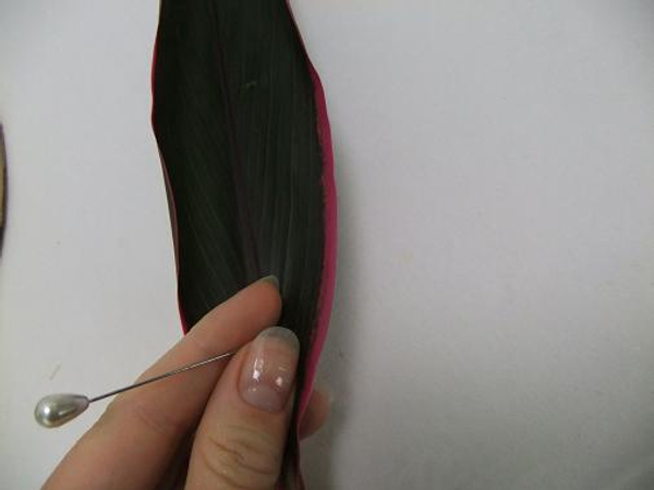 Rip a cordyline leaf into strands with a corsage pin Rip a cordyline leaf into strands with a corsage pin