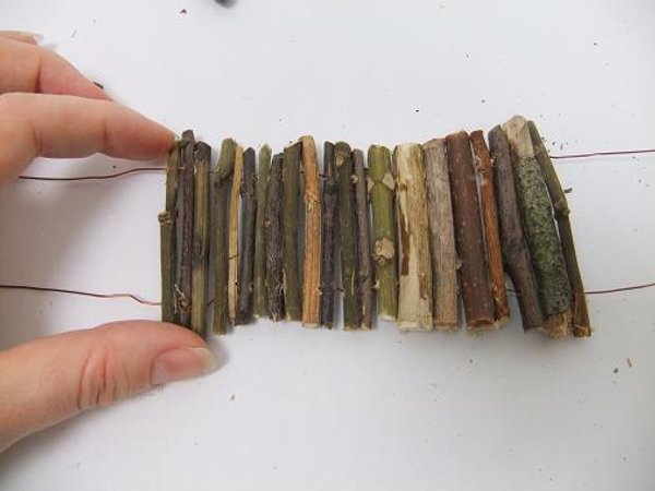 The base of the twig trunk The base of the twig trunk
