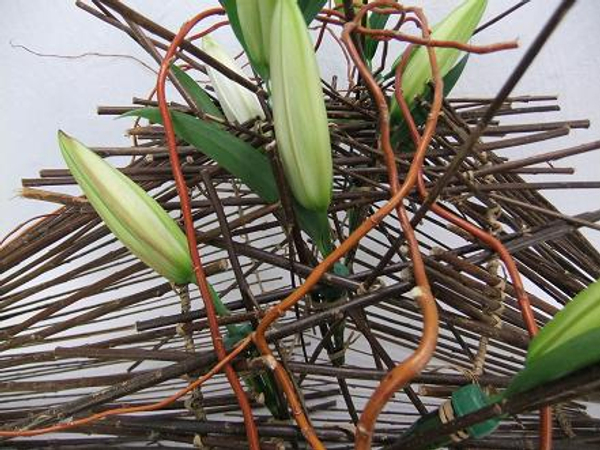 Break the straight twig lines with willow