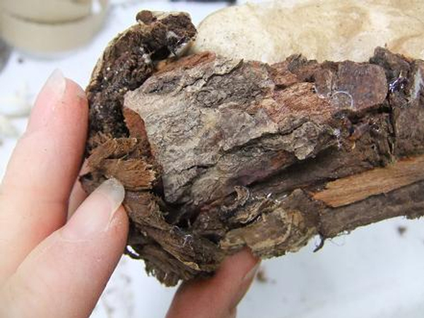 Glue chunks of bark to the sides of the Styrofoam block