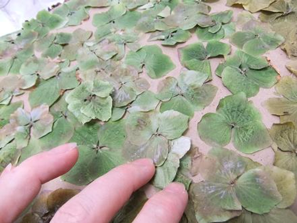 Paint the flowers with a layer of glue before adding more flowers.