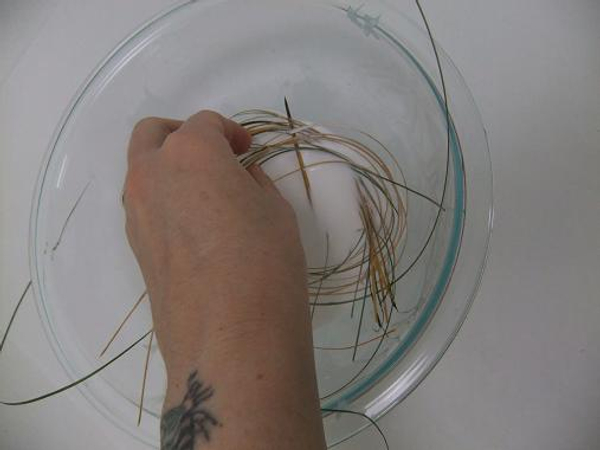 Soak ripped foliage strands in the glue mixture