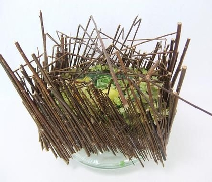 Designing with Mother Nature