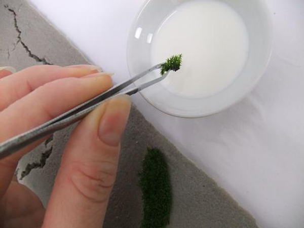 Dip the moss in the yogurt