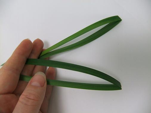 Fold two blades of grass in half
